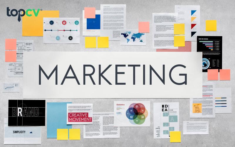 Ngành Marketing là ngành học cung cấp kiến thức về thị trường, sản phẩm, thương hiệu